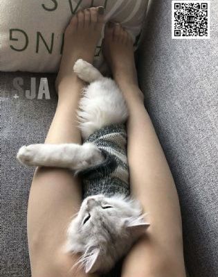 韩国新妈妈_1080P高清视频观看